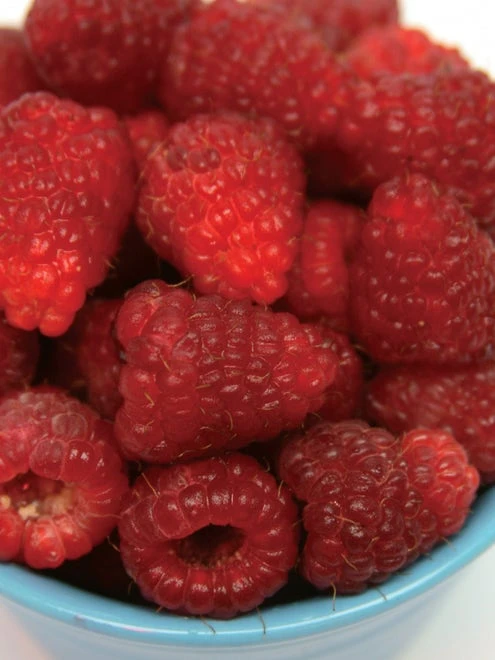 Raspberry, Joan J - Image 4