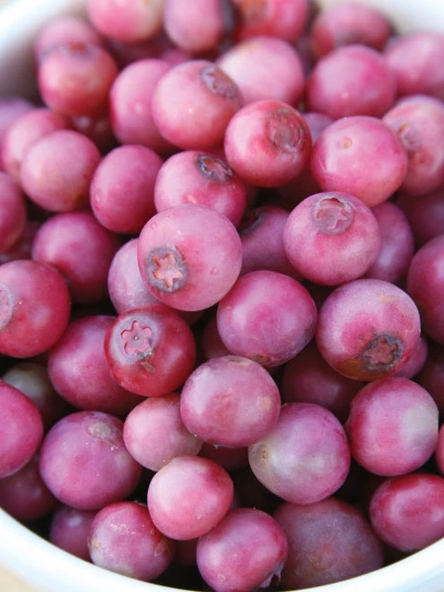 Blueberry, Pink Lemonade - Image 4