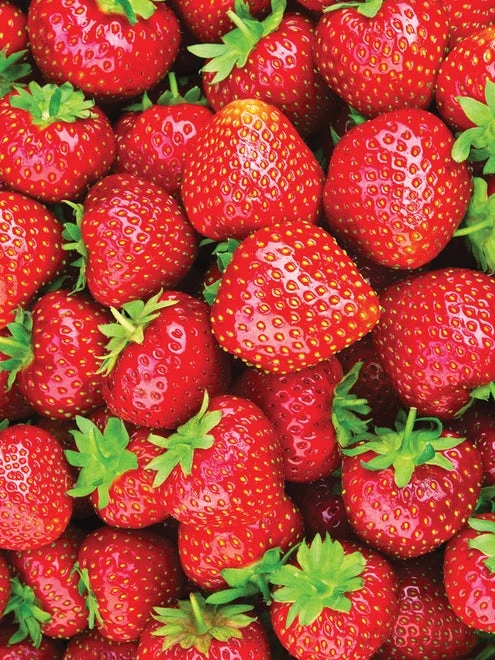 Strawberry, Eversweet - Image 2