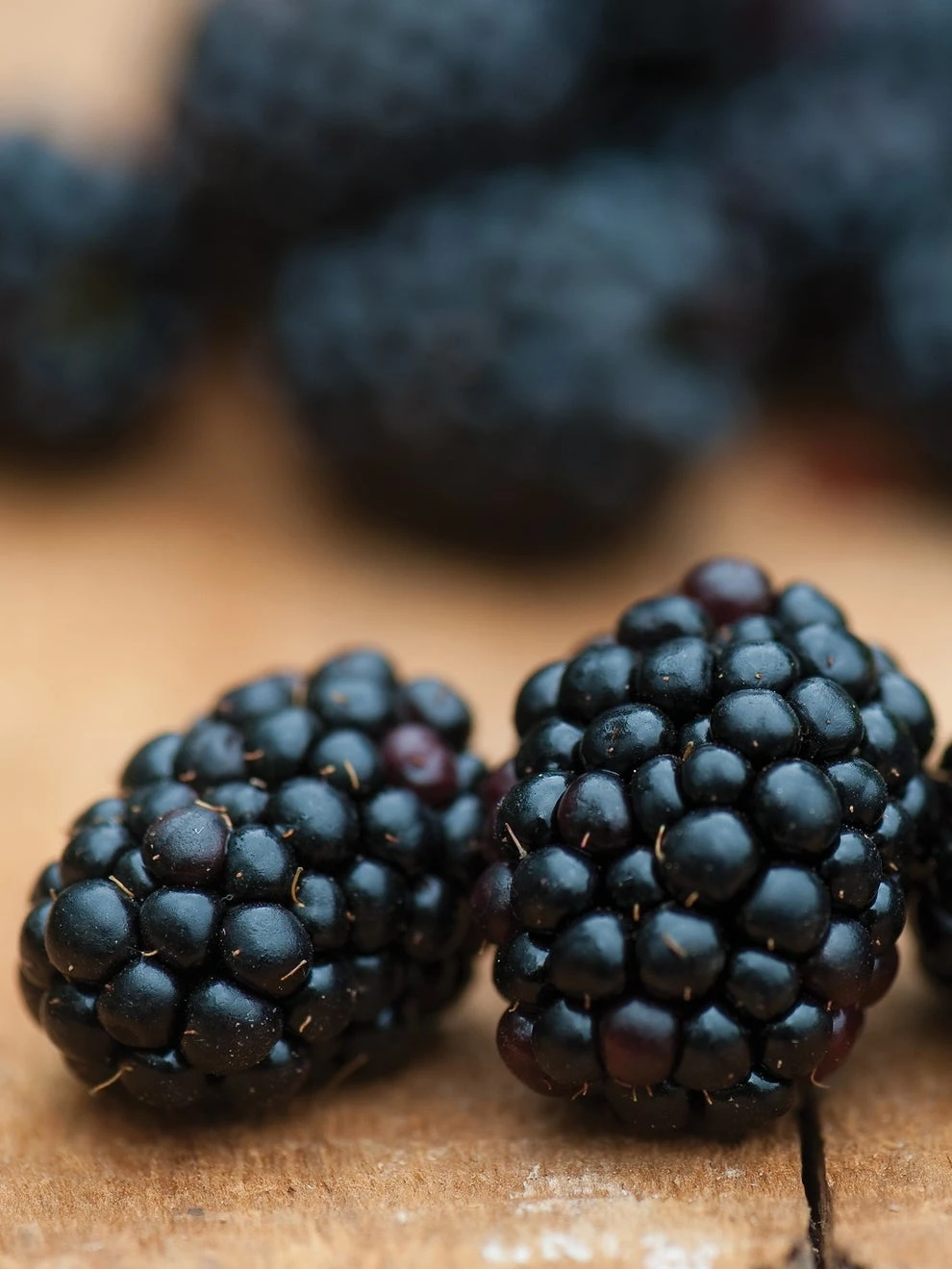 Blackberry, Triple Crown - Image 2