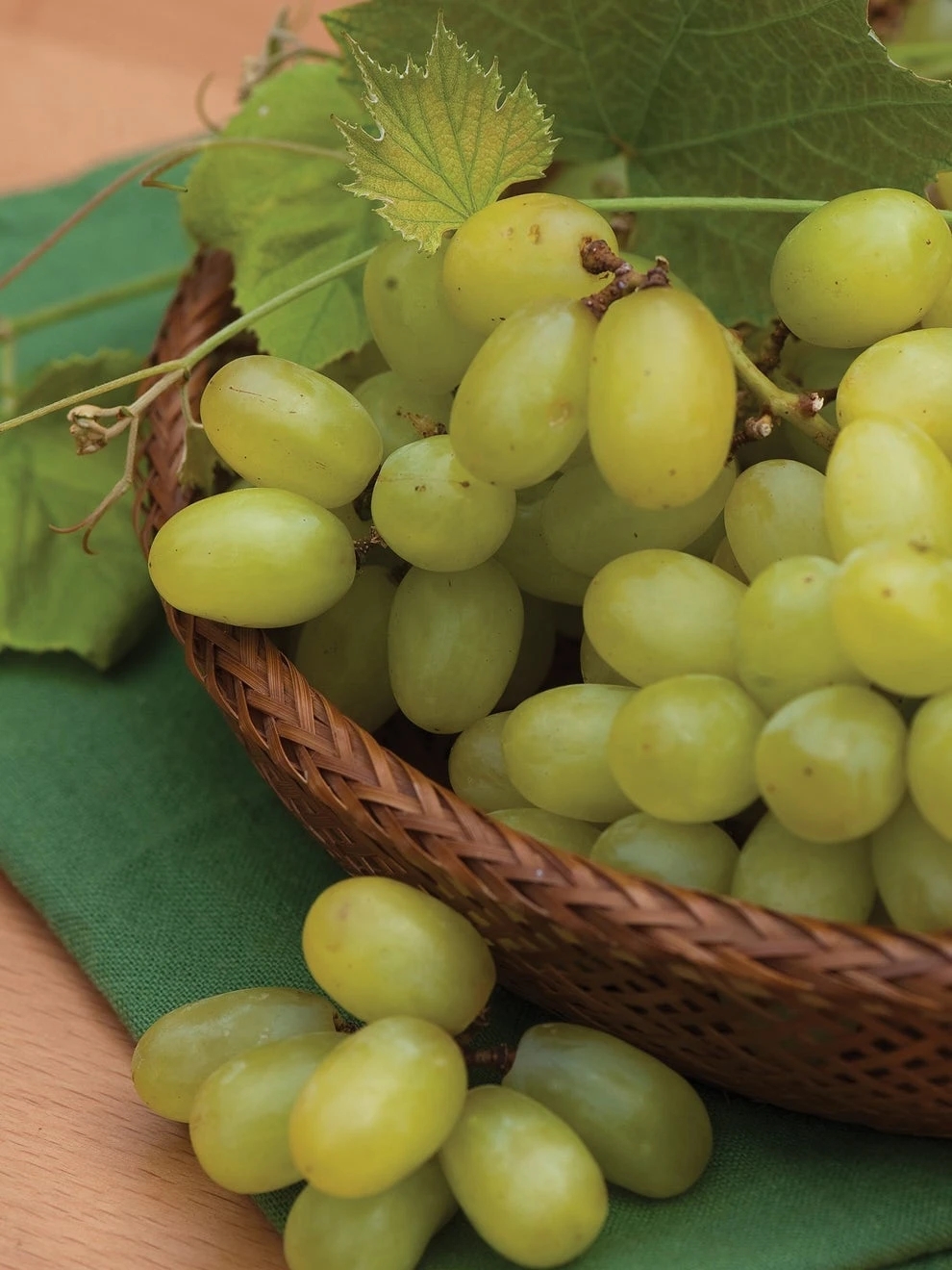 Grape, Marquis Seedless - Image 2