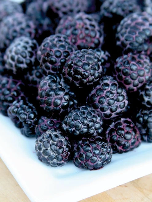 Raspberry, Jewel - Image 2