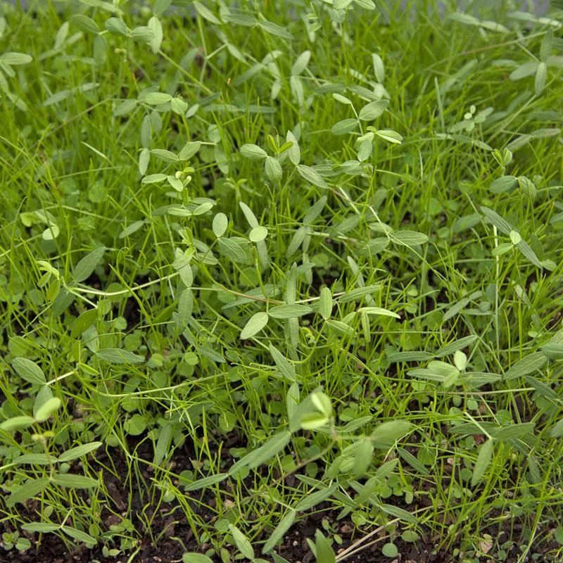 Peaceful Valley Dryland Erosion Fire Recovery Mix Nitrocoated (lb)