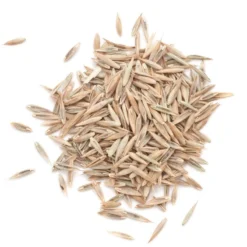 Peaceful Valley Premium Lawn Seed Mix (25 Lb Bag)