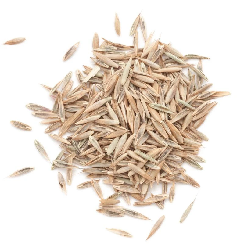 Peaceful Valley Premium Lawn Seed Mix (25 Lb Bag)