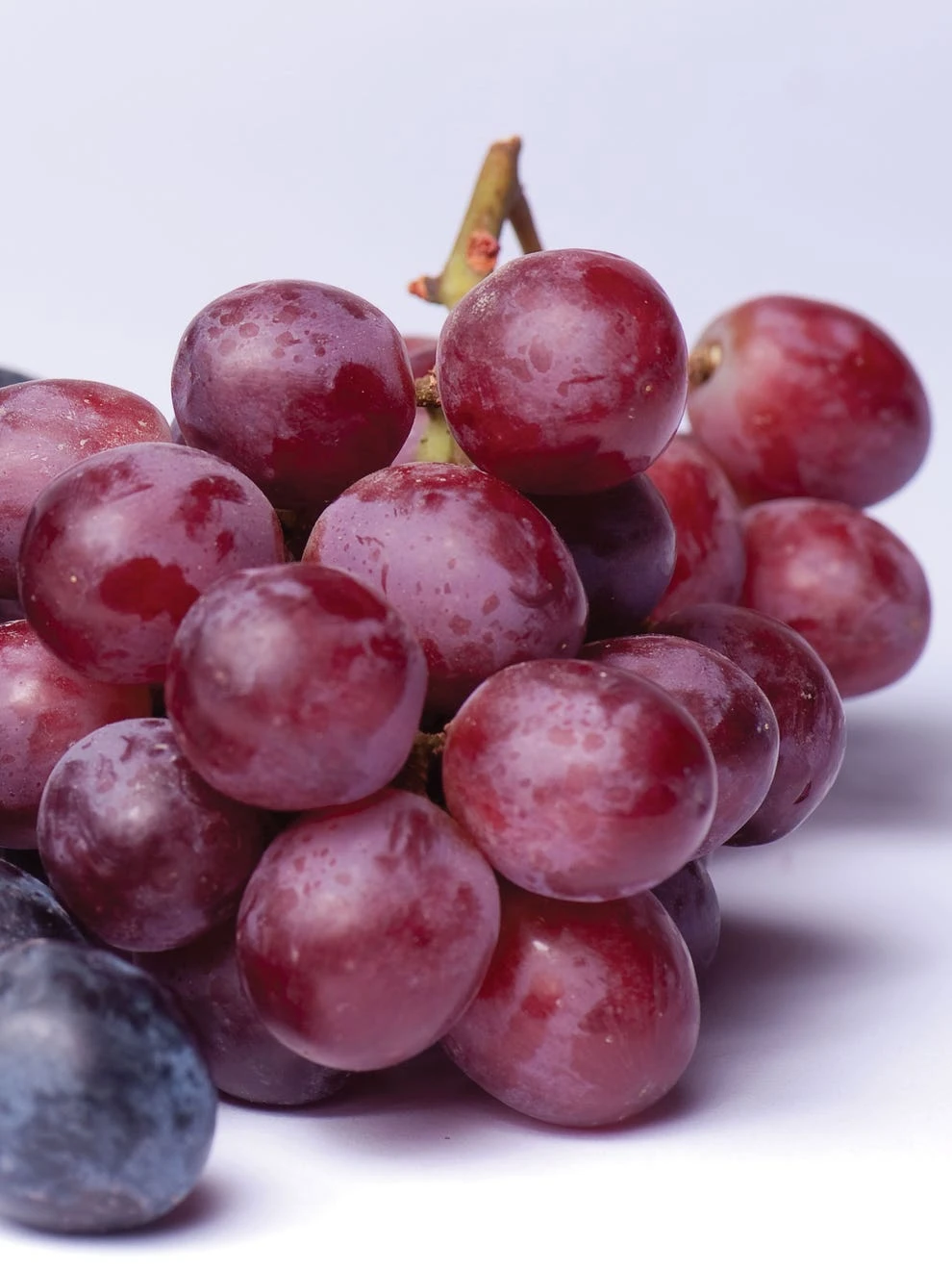 Grape, Reliance Seedless - Image 2