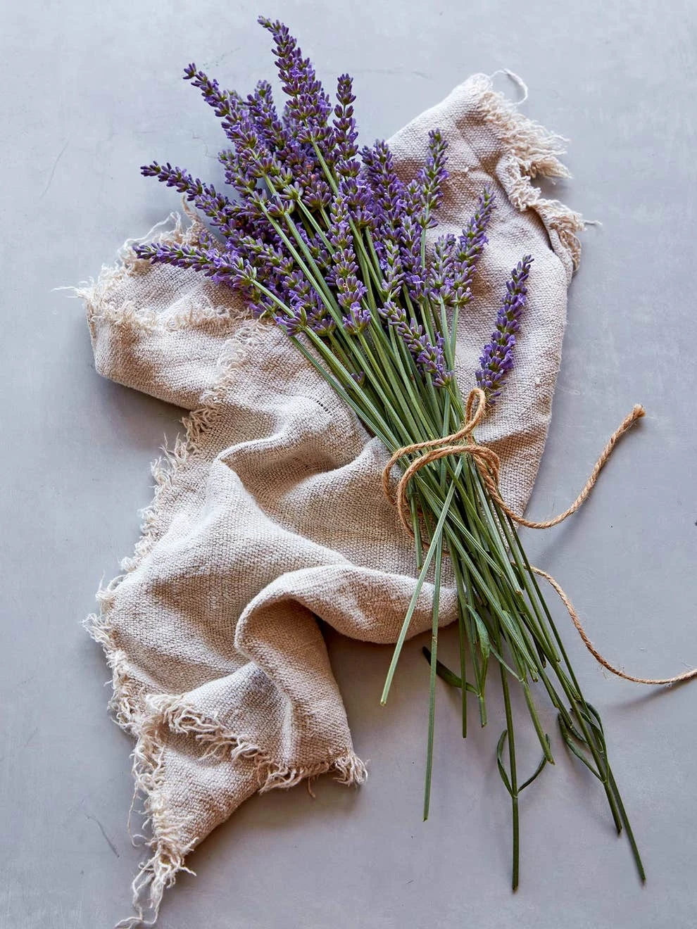 Lavender, Sensational!® - Image 2