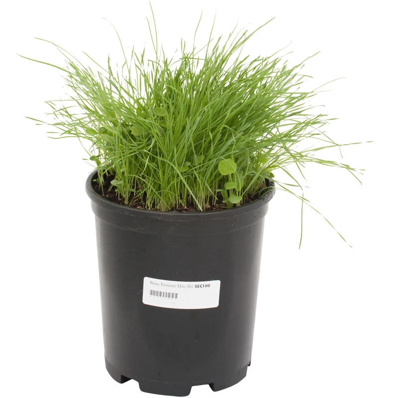 Peaceful Valley Basic Erosion Control Mix - Nitrocoated Seed (lb) - Image 2