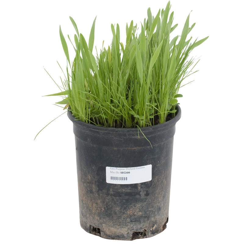 Peaceful Valley General Purpose Erosion Mix - Nitrocoated Seed (lb) - Image 2