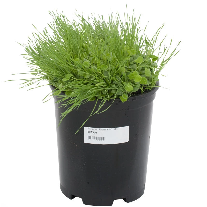 Peaceful Valley Premium Erosion Mix - Nitrocoated Seed (lb) - Image 3