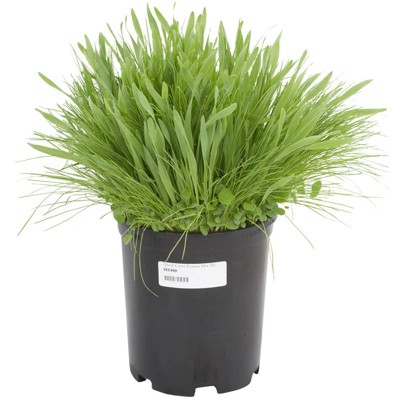 Peaceful Valley Quick Cover Erosion Mix - Nitrocoated Seed (lb) - Image 2