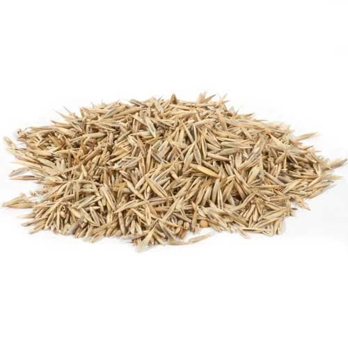 Peaceful Valley Native Lawn Mix - Seed (lb) - Image 2